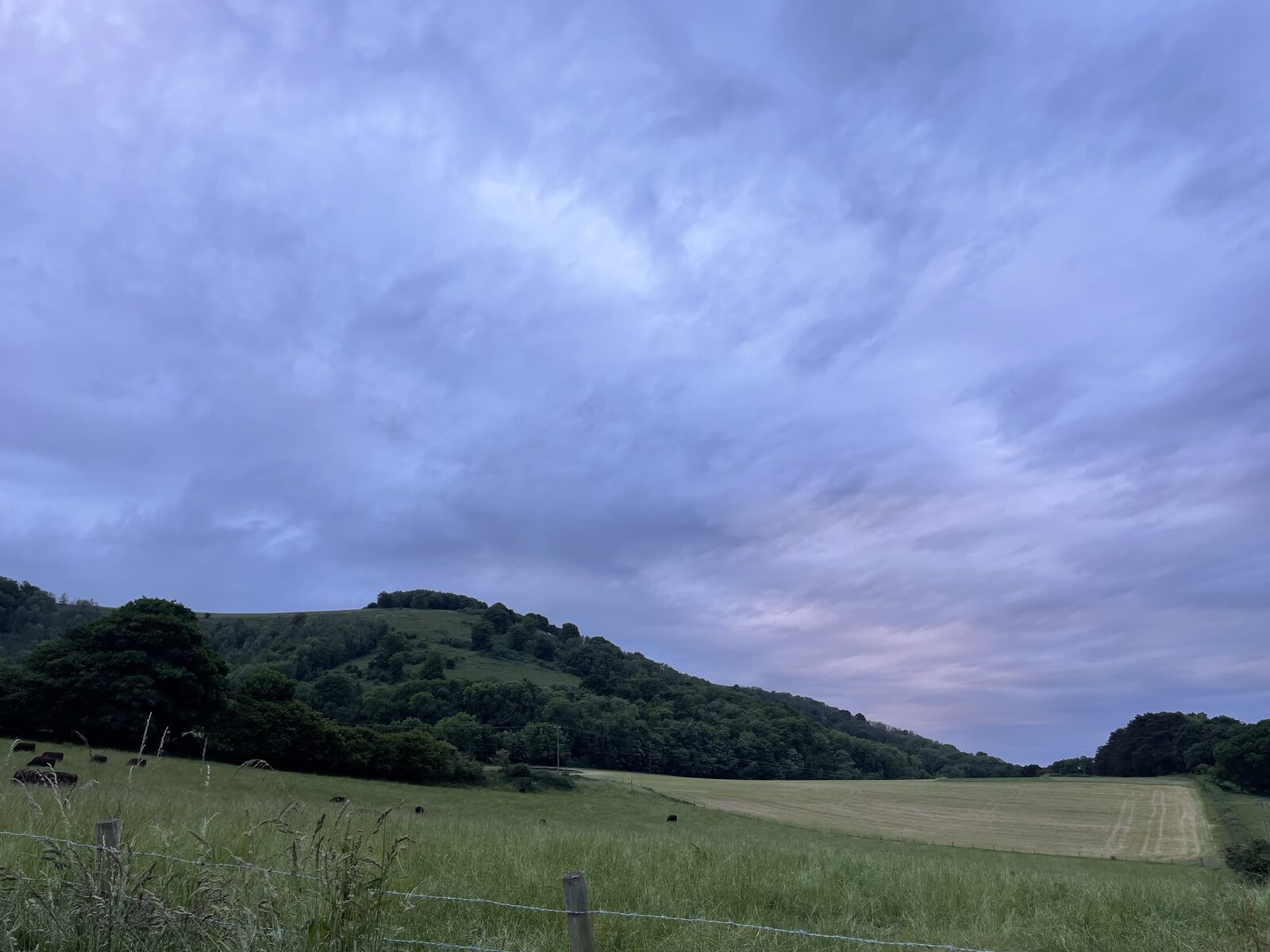 Rolling hills and pasture in Amador County, California
